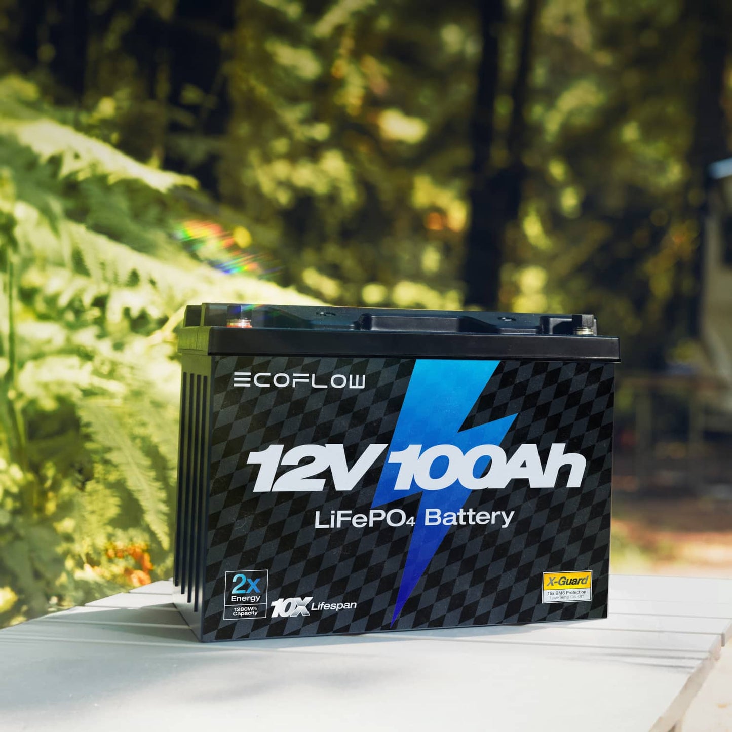 EcoFlow Lithium 12V 100Ah Deep Cycle LiFePO4 Battery EF12V100AhBP-US